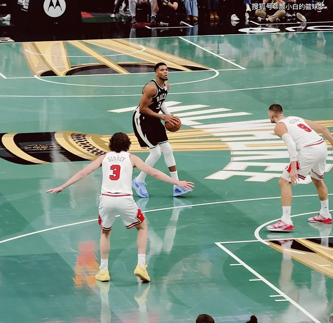 赛前尼斯调整名单以备NBA常规赛；刷新队史纪录环节打磨；震撼外界；细节决定成败的简单介绍